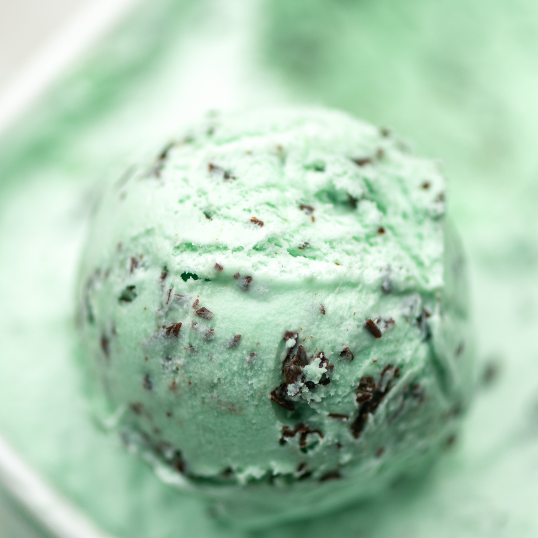 Mint Choc Chip Ice Cream